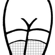 Fishnet stockings Fishnet stockings