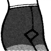 Opaque Hosiery with brief panties and gusset Opaque Hosiery with brief panties and gusset